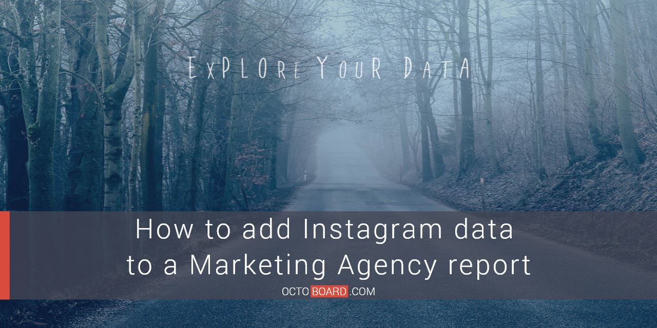 OCTOBOARD: How to add Instagram data to a Marketing Agency report