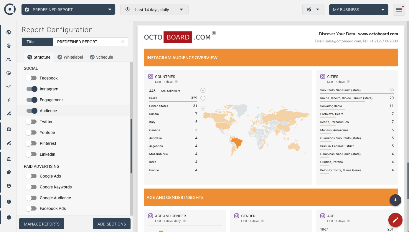 Template for generated report: Instagram audience report