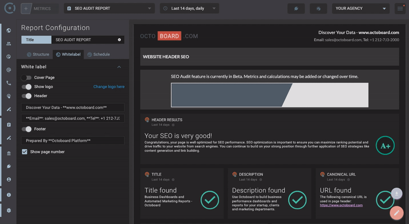 OCTOBOARD dashboards, templates and reports gallery: Seo audit report for clients