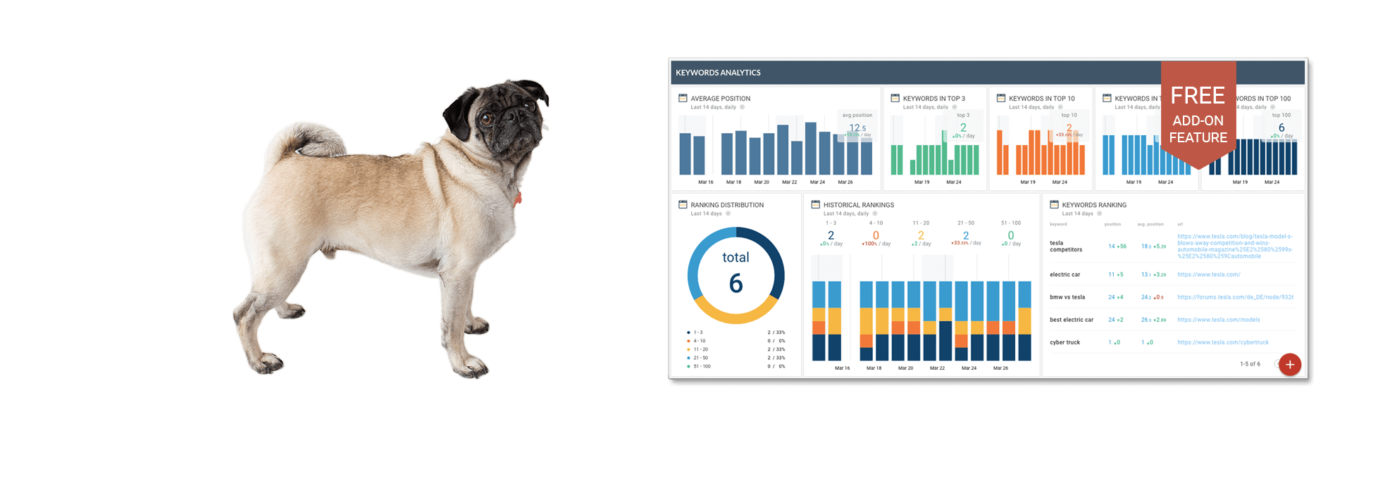 Business Performance Dashboards For Startups